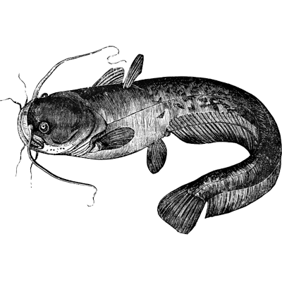 liz_truss68 profile image