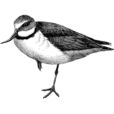 gennymessi profile image